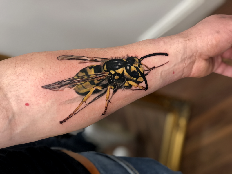 Ooops wasp...short video